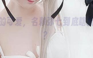 图包里的可爱，名赖弥七到底瞎折腾了啥？