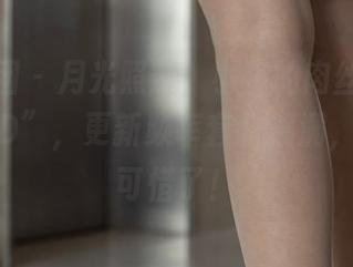 森萝财团 – 月光照耀，小夜的肉丝写真集“300D”，更新频率套路满满，没收藏可惜了！
