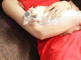 青豆客 – 爬上吕梦玉的天台，私拍时光太惹人怜